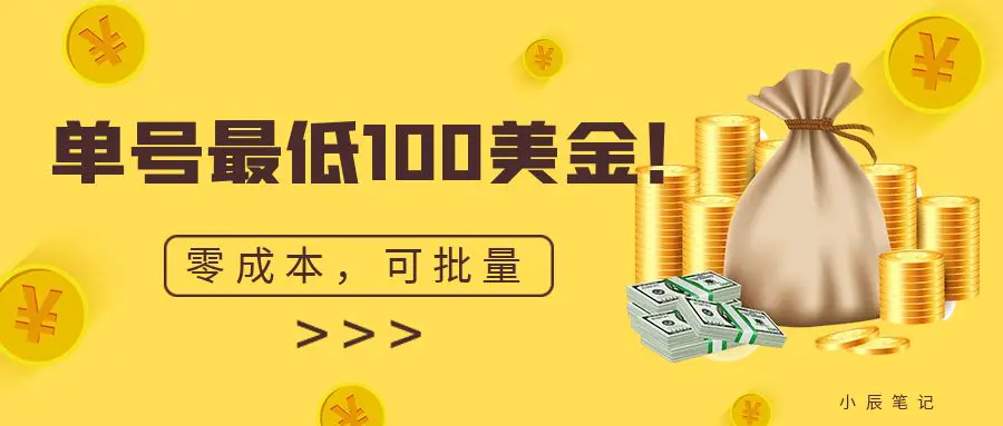 Ins单号最低100美金，零成本，小白无脑操作。可复制，可扩大