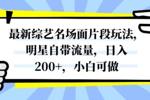 最新综艺名场面片段玩法,明星自带流量,日入200+,小白可做