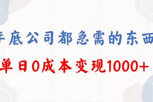 年底必做项目,每个公司都需要,今年别再错过了,0成本变现,单日收益1000
