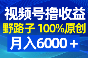视频号野路子撸收益,100%原创,条条爆款,月入6000+