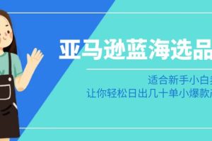 亚马逊-蓝海选品课：适合新手小白卖家，让你轻松日出几十单小爆款产品