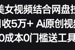 AI美女视频结合网盘拉新,日收5万+两分钟一条Ai原创视频,0成本0门槛送工具