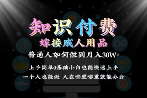 2024普通人做知识付费结合成人用品如何实现单月变现30w 保姆教学1.0