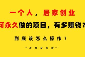 一个人，居家创业：B站每天10分钟，单账号日引创业粉100+，月稳定变现5W…