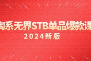 淘系 无界STB单品爆款课（2024）付费带动免费的核心逻辑，万相台无界关…