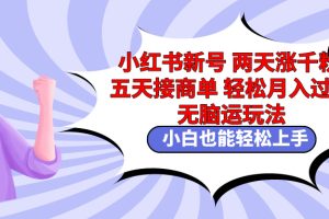 小红书新号两天涨千粉五天接商单轻松月入过万 无脑搬运玩法 小白也能轻…