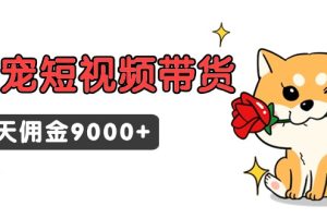 萌宠短视频带货，2天佣金9000+