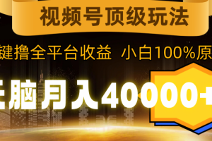 视频号顶级玩法,无脑月入40000+,一键撸全平台收益,纯小白也能100%原创