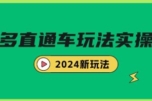 多多直通车玩法实战课,2024新玩法(7节课)