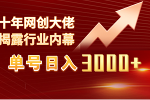 单号日入3000+,工作室内部无脑美女视频玩法,100%过原创