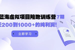 淘宝蓝海虚拟项目，每天200到1000+的纯利润