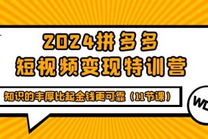 2024拼多多短视频变现特训营,知识的丰厚比起金钱更可靠(11节课)