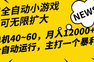 2024最新全网独家小游戏全自动,单机40~60,稳定躺赚,小白都能月入过万