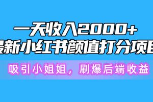 一天收入2000+，最新小红书颜值打分项目，吸引小姐姐，刷爆后端收益