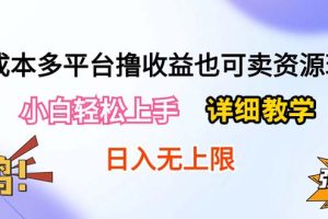 0成本多平台撸收益也可卖资源玩法,小白轻松上手。详细教学日入500+附资源