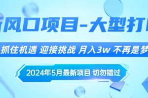 2024年5月最新风口项目,抓住机遇,迎接挑战,月入3w+,不再是梦