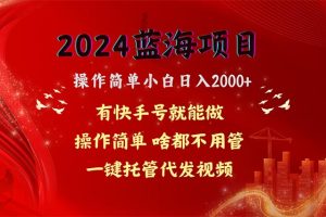 2024蓝海项目,网盘拉新,操作简单小白日入2000+,一键托管代发视频,…