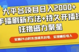 快手24小时无人直播,真正实现睡后收益