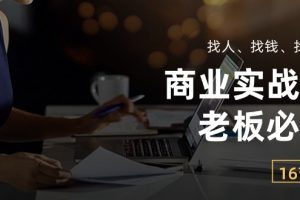 商业实战课【老板必学】:找人、找钱、找方向(16节课)