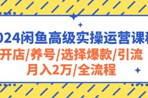 2024闲鱼高级实操运营课程：开店/养号/选择爆款/引流/月入2万/全流程