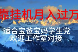 每天躺着日入几百挂机项目,适合宝爸宝妈学生党工作室对接