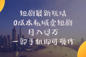 短剧最新玩法 0成本私域卖短剧 月入过万 一部手机即可操作
