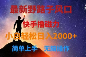 最新风口!快手撸磁力,野路子,小白无脑操作日入2000+