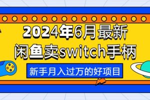 2024年6月最新闲鱼卖switch游戏手柄，新手月入过万的第一个好项目