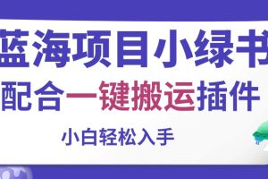 蓝海项目小绿书，配合一键搬运插件，有人一篇内容收入5000元