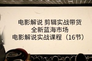 电影解说 剪辑实战带货全新蓝海市场,电影解说实战课程(16节)