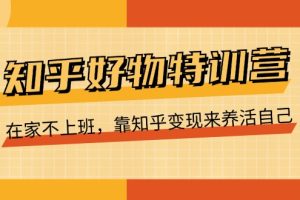 知乎好物特训营,在家不上班,靠知乎变现来养活自己(16节)