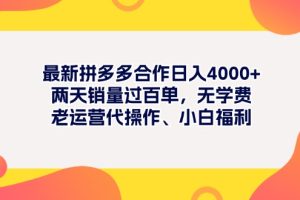 最新拼多多项目日入4000+两天销量过百单,无学费、老运营代操作、小白福利