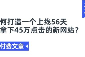 某付费文章《如何打造一个上线56天就拿下45万点击的新网站?》