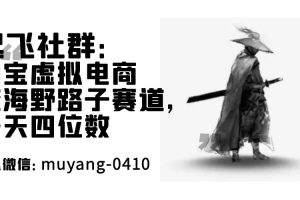 起飞社群：TB虚拟电商蓝海野路子赛道，一天四位数