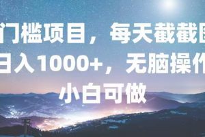 0门槛项目,每天截截图,日入1000+,轻松无脑,小白可做