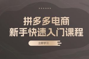 拼多多电商新手快速入门课程：涵盖基础、实战与选款，助力小白轻松上手