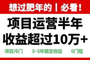 年前过肥年的必看的超冷门项目,半年收益超过10万+,