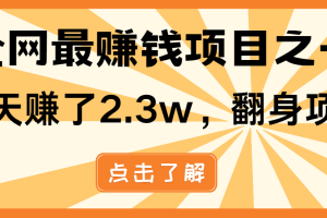 小白必学项目,纯手机简单操作收益非常高!年前翻身!