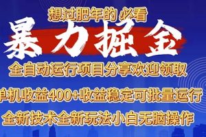 2025暴力掘金项目,想过肥年必看!