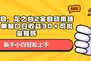 蓝海项目，龙之谷2全自动搬砖游戏，单窗口日收益30＋可批量矩阵
