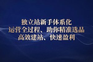独立站新手体系化 运营全过程,助你精准选品、高效建站、快速盈利
