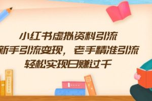 小红书虚拟资料引流，新手引流变现，老手精准引流，轻松实现日赚过千