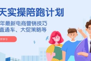 淘天实操陪跑计划，2024年最新电商营销技巧，包括直通车、大促策略等