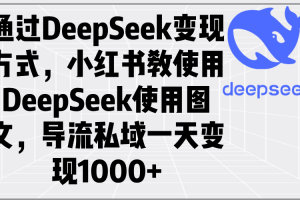 通过DeepSeek变现方式，小红书教使用DeepSeek图文，导流私域一天变现1000+