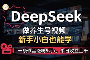 小白用DeepSeek+即梦+Vidu+剪影做养生号，一条作品涨粉5万+，单日收益上千