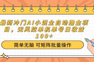 最新冷门AI小说全自动撸金项目，无风控单机单号日收益100+