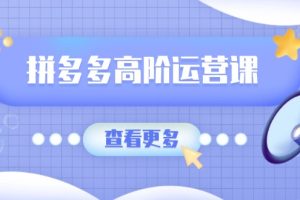 拼多多高阶运营课：极致群爆款玩法，轻付费无尽复制，打造单品爆款之路