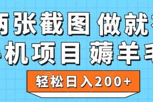 薅羊毛 手机项目 做就有 两张截图 轻松日入200+