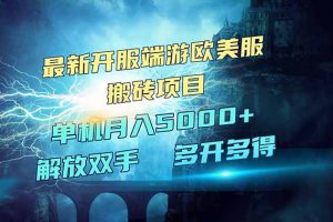 全网热门游戏欧美服端游搬砖，单机月入5000+