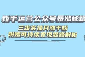 新手运营公众号暴涨秘籍，三步实操月涨千粉，附赠可持续变现思路解析